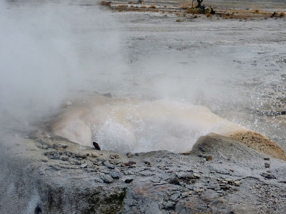 Yellowstone Norris Geyser Veteran Geyser (5).JPG
